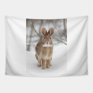 Eastern Cottontail Rabbit Tapestry