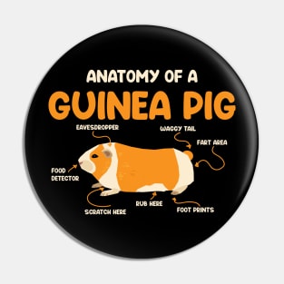 Anatomy of a Guinea Pig Pin