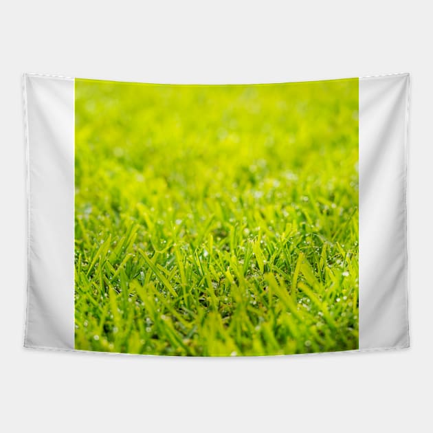 Dew Drops On Green Grass Tapestry by THP Creative