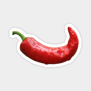 Image: Chili pepper (curved) Magnet