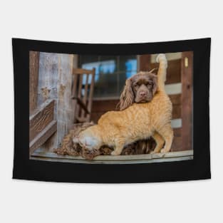 Sussex Spaniels and Friend Tapestry