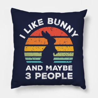 I Like Bunny and Maybe 3 People, Retro Vintage Sunset with Style Old Grainy Grunge Texture Pillow