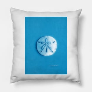 Sand Dollar Pillow