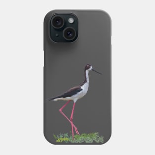 Aeʻo, Hawaiian Stilt Phone Case