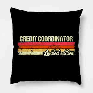 Credit Coordinator Limited Edition Pillow