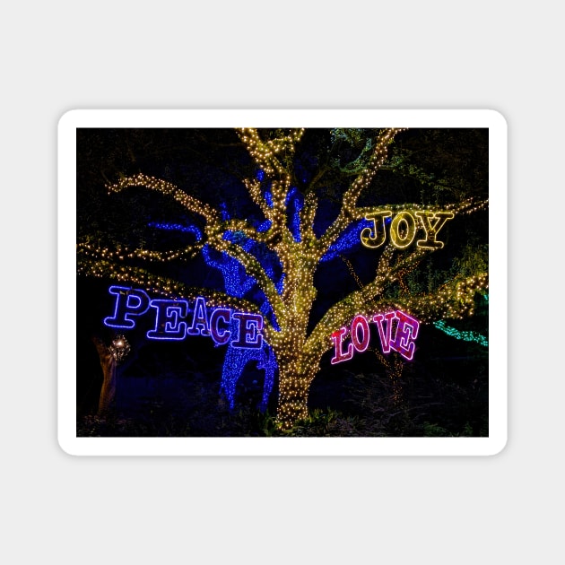 Peace, Joy, Love - night time photo of Texas holiday lights + live oak tree Magnet by AtlasMirabilis