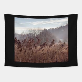 Misty Marshes Tapestry