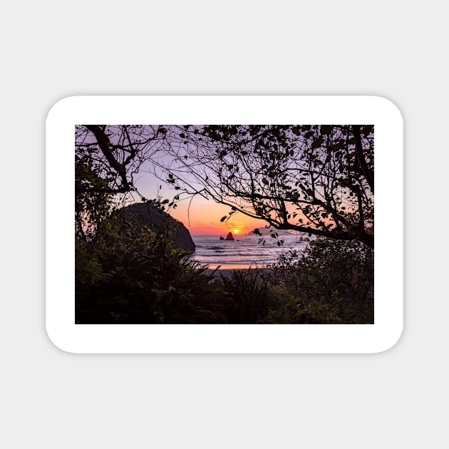 Houda Point Beach through trees Magnet by blossomcophoto