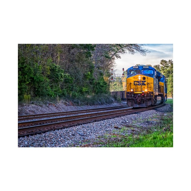 Train in South Carolina by Gestalt Imagery