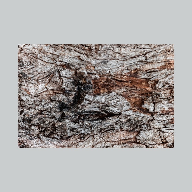 Rustic Orange & Brown Tree Trunk by textural