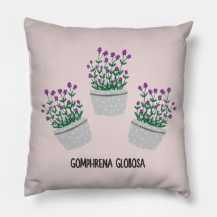 Gomprena Globosa Flower, Amaranth flower Pillow