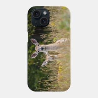 White-tailed Deer Phone Case