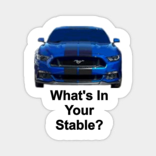 What's in your stable? (blue) Magnet