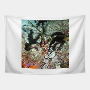 Spotted Spiny Lobster Tapestry