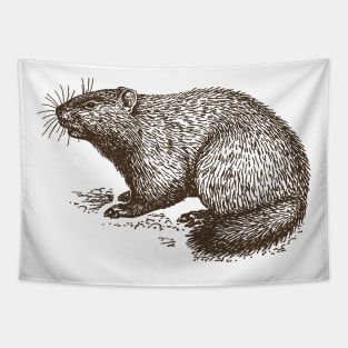 Vintage Groundhog Tapestry