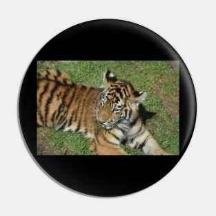 Tiger Cub Pin