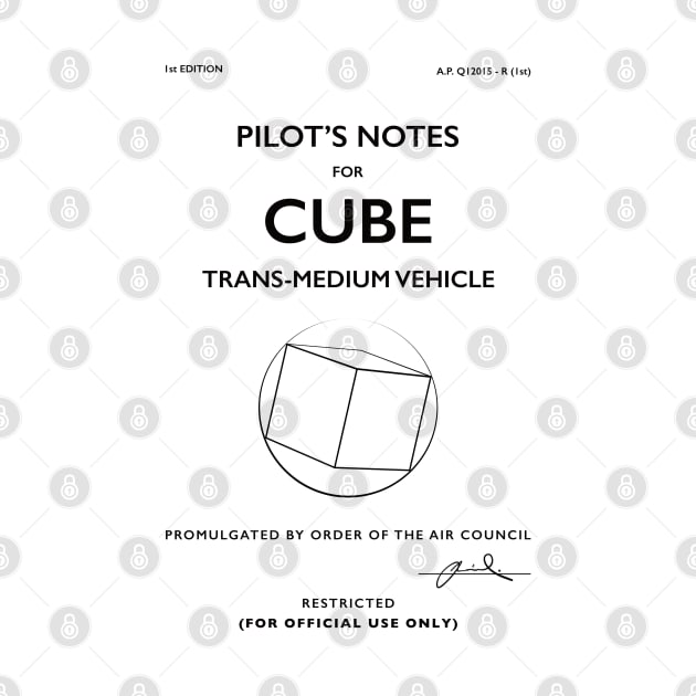 Cube (in sphere) UAP Pilot Notes by 33oz Creative