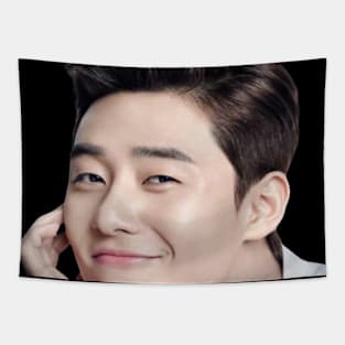 Park Seo Joon - V2 Tapestry