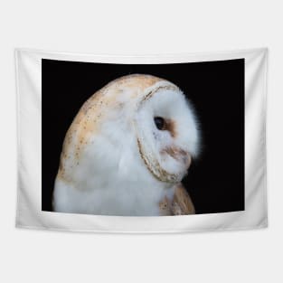 Close up view of a barn owl Tapestry