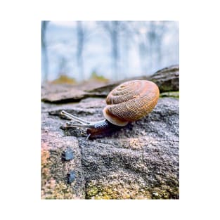 Garden Snail T-Shirt