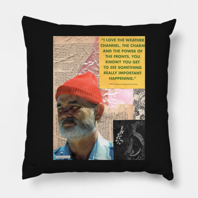 Bill Murray Steve Zissou Pillow by ashclaise