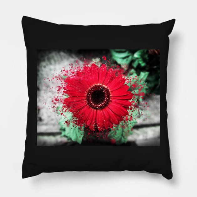 Red Daisy Pillow by TortillaChief