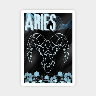 ARIES Magnet