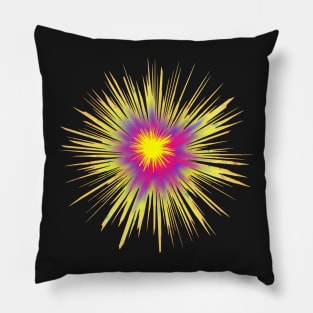 Bright Burst of Color Pillow