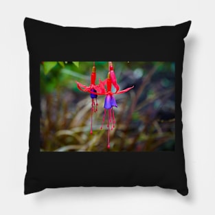 Fuchsia Flower - Dark Background Foliage Pillow