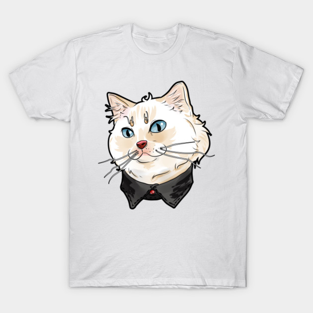 Ragamuffin White Cat Face Cats Kitty Cute Funny