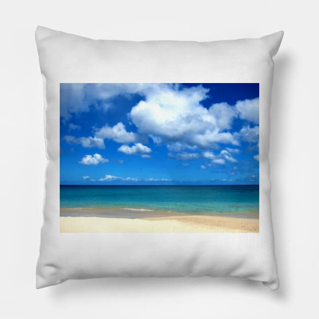 Beach Life Pillow by JohnDalkin