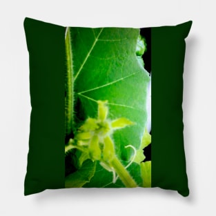 Pumpkin Foliage Pillow