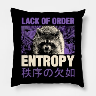 Entropy Raccoon Pillow