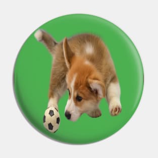 puppy football fan Pin