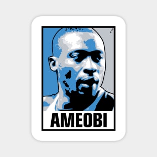 Ameobi Magnet