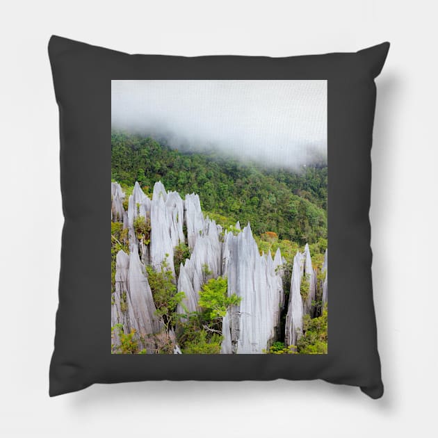 Limestone pinnacles at gunung mulu national park Pillow by Juhku