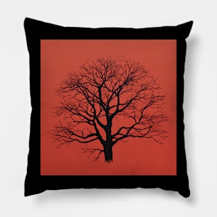 American beech Pillow