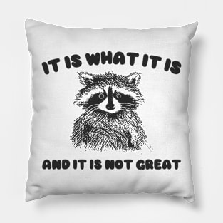 It Is what it is and it is not great, Cartoon Meme Top, Vintage Cartoon Sweater, Unisex Pillow