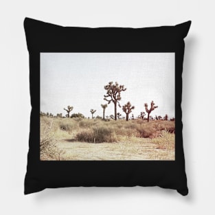 Cacti, Desert, Landscape, Sky, Nature print Pillow