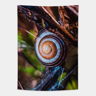 Hanging On. Macro Snail Shell Photograph Tapestry