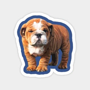 Bulldog Super Cute Puppy Dog Magnet