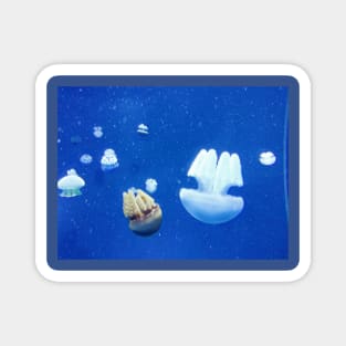 Jelly fish in the deep blue sea Magnet