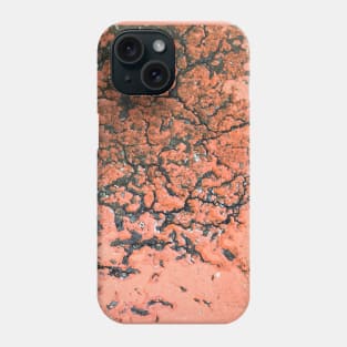 Old cracked painted texture Phone Case