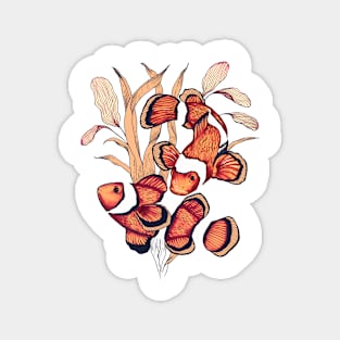 Clownfish couple Magnet