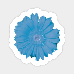 Blue Daisy Flower Magnet