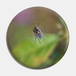 Spider Waits In Its Web For Customers Pin