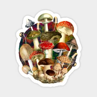 Mushroom night forest, mushroom art, mycology, multicoloured cottage core aesthetic design over a Magnet