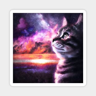 Tabby cat looking at nebula sky Magnet