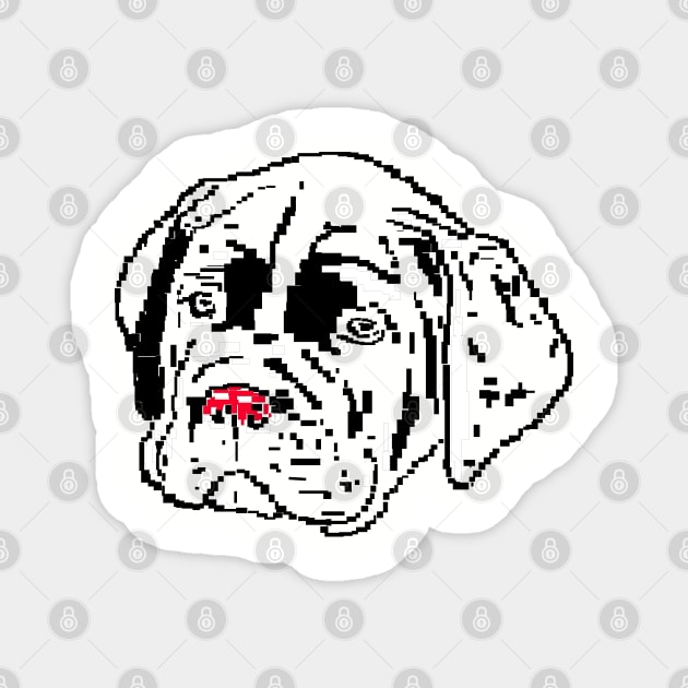 Dog Cane Corso white puppies on white background Magnet by 4rpixs