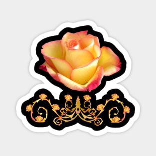 orange rose, ornament, roses, flowers, petal bloom Magnet